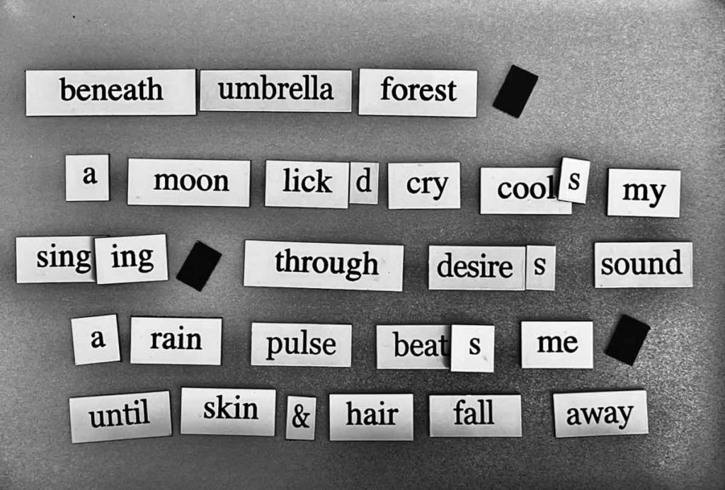 poem made from magnetic words reads: beneath umbrella forest,
a moon lick'd cry cools my
singing, through desire's sound, a rain pulse beats me,
until skin and hair fall away