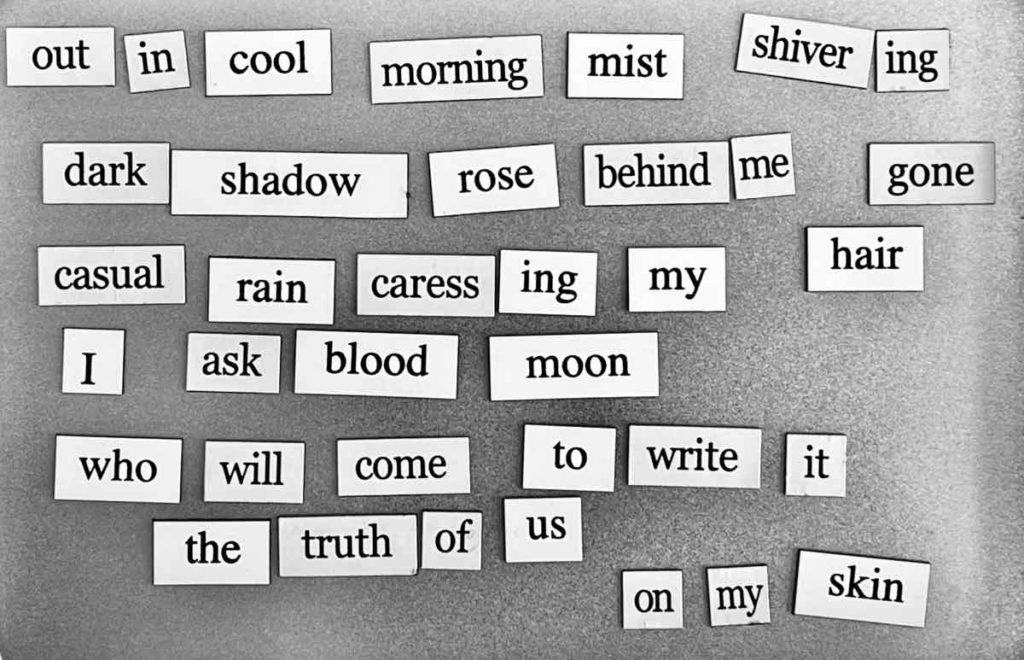 magnetic word poem reads: out in cool morning mist, shivering,
dark shadow rose behind me, gone,
casual rain caressing my hair,
I ask blood moon,
who will come to write it,
the truth of us,
on my skin