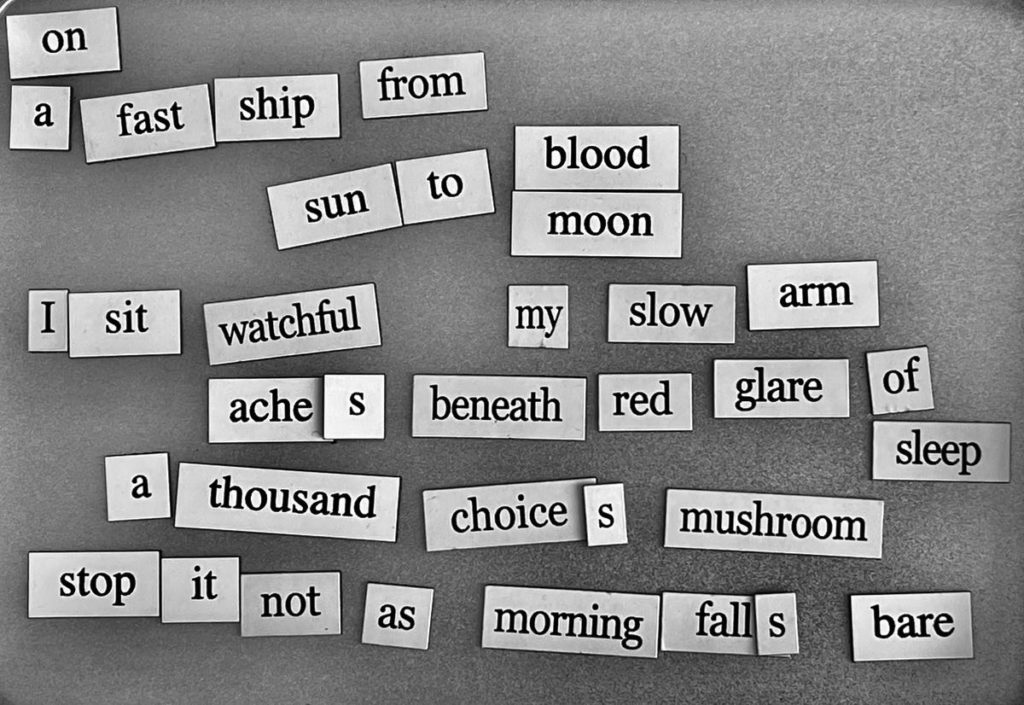magnetic word poem reads: on a fast ship from sun to blood moon, 
I sit watchful -  
my slow arm aches
beneath red glare of sleep, a thousand choices mushroom - 
stop it not -
as morning falls bare