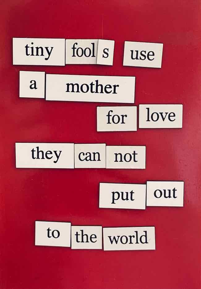 magnetic poem reads: tiny fools use a mother for love
they cannot put out
to the world