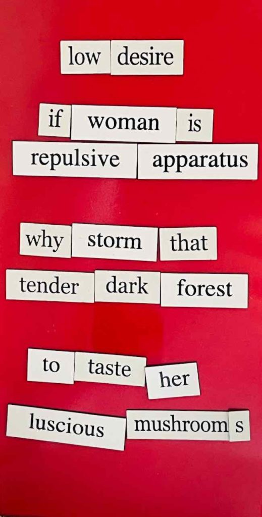 magnetic word poem reads: if woman is
repulsive apparatus,
why storm that tender, dark forest
to taste her luscious mushrooms?